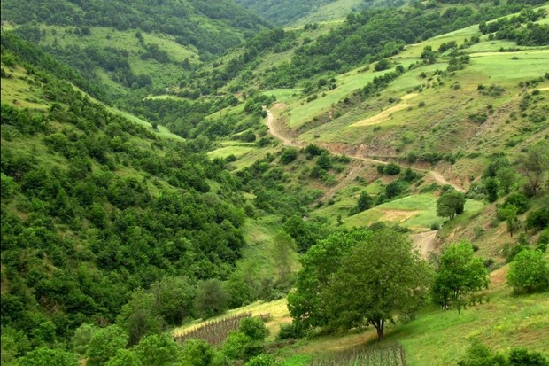 حفاظت از منابع طبیعی نیازمند فرهنگ سازی است