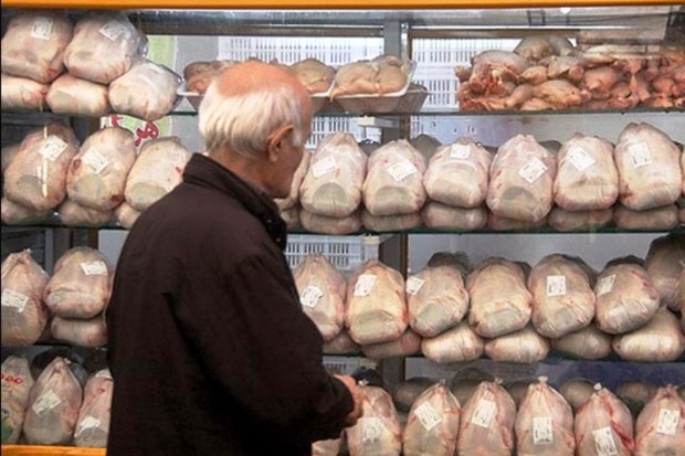 روزانه 46 تن گوشت گرم مرغ در خراسان شمالی توزیع می شود