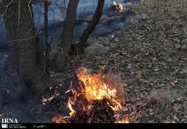 بخشی از مراتع باغملک آتش گرفت