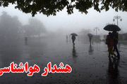 خبرفوری/ طوفان در مشهد آغاز شد + عکس و فیلم (29 اردیبهشت 1403)