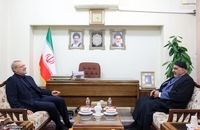 دیدار عبدالمهدی نخست وزیر اسبق عراق با علی لاریجانی (2)