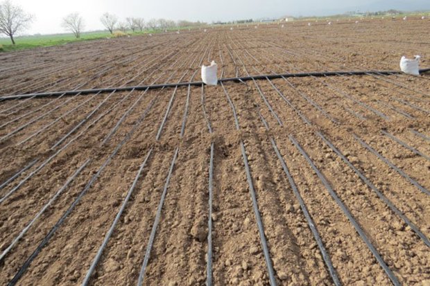 طرح های ناتمام آب و خاک کشاورزی قزوین امسال پایان می یابند