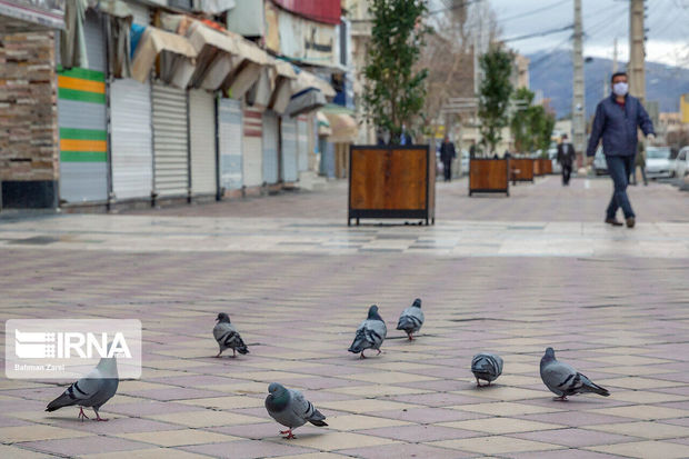 ۹۰ درصد بازار کرمانشاه برای مقابله با کرونا تعطیل شده است