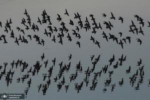 منتخب تصاویر امروز جهان- 8 بهمن 1400