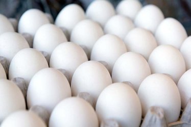 قیمت جدید تخم مرغ اعلام شد؛ 30 شهریور 1402