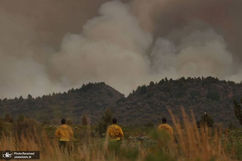 منتخب تصاویر امروز جهان- 11 تیر 1400