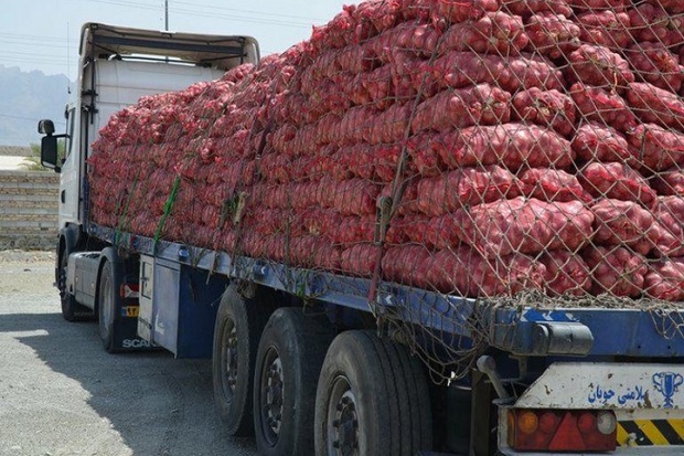 محموله 10 تُنی پیاز قاچاق در کردستان کشف شد