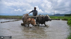 منتخب تصاویر امروز جهان - 12 تیر 1401