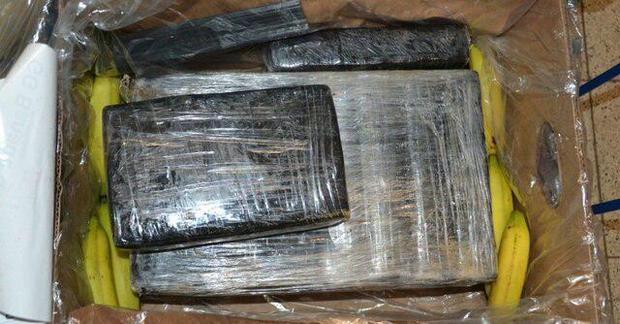 بیش از نیم تُن کوکائین از بار موز کشف شد