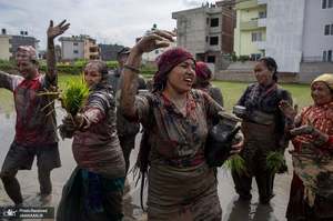 منتخب تصاویر امروز جهان- 29 تیر 1400