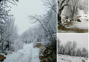 برف و باران سمیرم را فرا گرفت