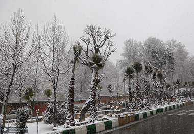 مسافران پیش از عزیمت با شماره ۱۹۹ تماس بگیرند/ احتمال تغییر وضعیت پروازها
