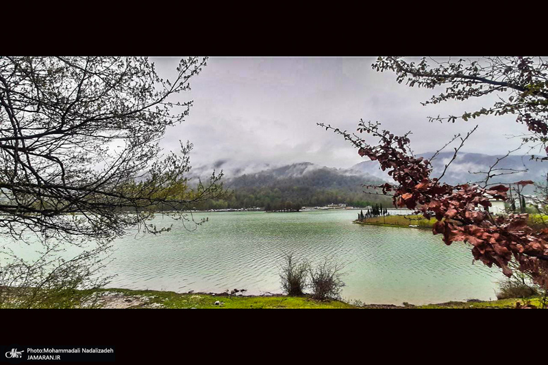 دریاچه آویدر نوشهر