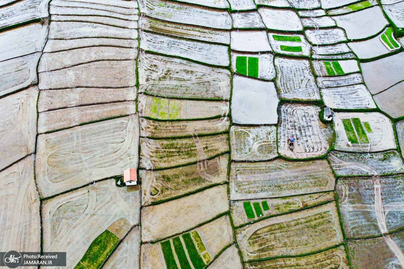 منتخب تصاویر امروز جهان- 12 خرداد 1400