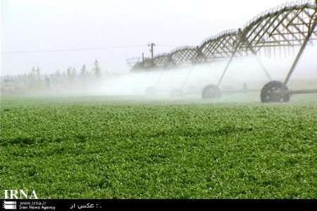 مدیریت آب در رفسنجان جدی گرفته شود