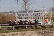 رقابت 53 راس اسب در هفته 27 مسابقات اسبدوانی گنبدکاووس