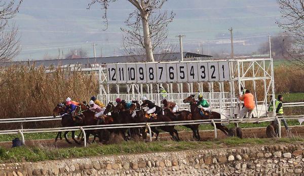 رقابت 53 راس اسب در هفته 27 مسابقات اسبدوانی گنبدکاووس