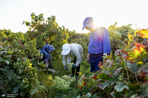 SAVE_20260830_172403