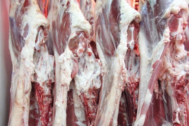 گوشت گرم گوسفندی در119 بازار تره بار تهران عرضه می شود