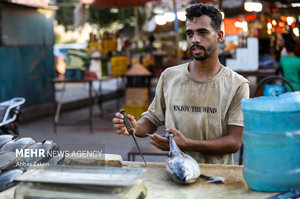 اینجا ایران است