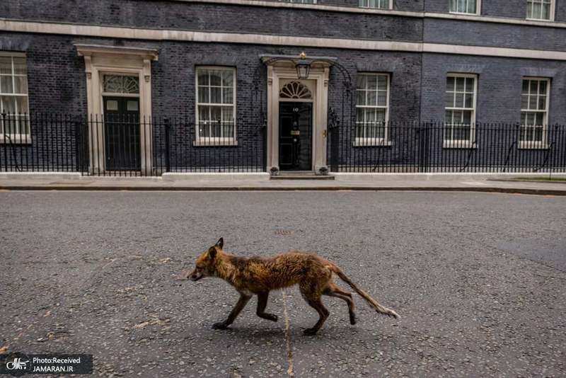 منتخب تصاویر امروز جهان- 7 اردیبهشت 1400