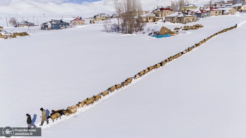 منتخب تصاویر امروز جهان - 10 و 11 اسفند 1403