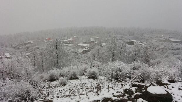 برف و سرما برخی مدارس استان سمنان را تعطیل کرد