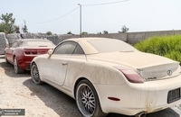 خاک خوردن خودروهای میلیاردی در بندرعباس (10)