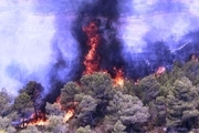 زنگ خطر آتش سوزی در جنگلستان های ملکشاهی