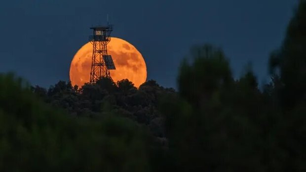 ماه توت‌فرنگی به زودی در آسمان ظاهر می‌شود
