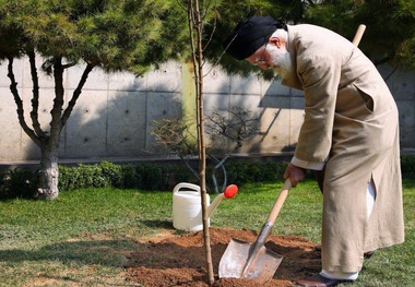  امسال رهبر معظم انقلاب چه درخت‌هایی کاشتند؟ / روایت یک نامه مردمی به رهبر انقلاب و پاسخ ایشان