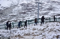 تصاویری زیبا از بارش برف تازه در کشمیر هند (8)