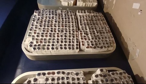 سلطان عینک دستگیر شد! + عکس