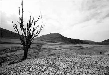 کاهش 54 درصدی بارندگی در خراسان شمالی