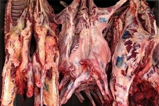 2 عرضه کننده گوشت فاسد در آستارا به دادگاه معرفی شدند