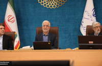 وزیر کشور در نشست  «احزاب و فعالان سیاسی (13)