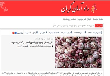 طلای بنفش پهناورترین استان کشور در گمنامی صادرات