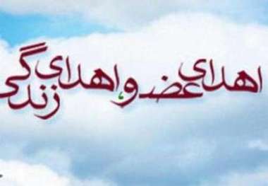 مادر دهدشتی به چهار بیمار جان بخشید