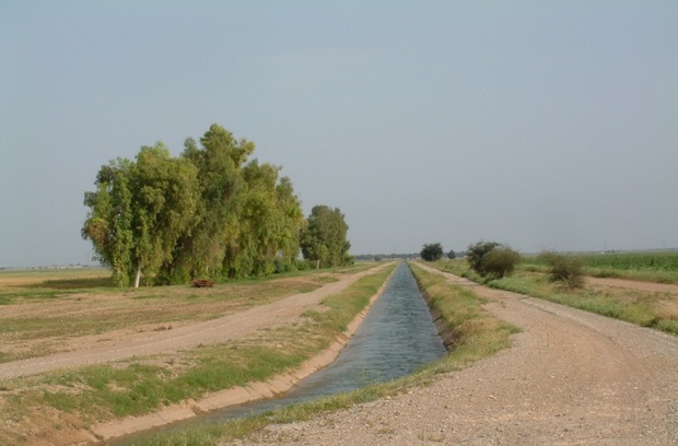 آب محصولات تابستانه دارای قرارداد در شبکه آبیاری دز تامین می شود