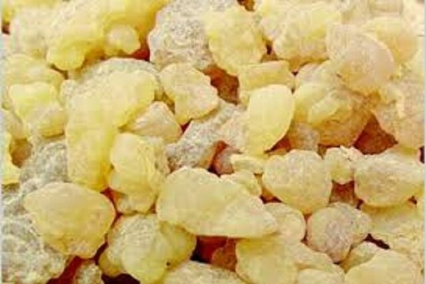 کندر می‌تواند التهاب ناشی از ام‌اس را کاهش دهد
