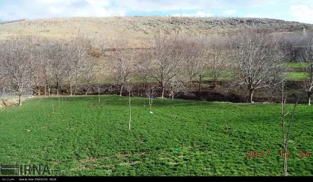 چهار هزار و 700 هکتار از اراضی ملی و کشاورزی لرستان تعیین تکلیف شد