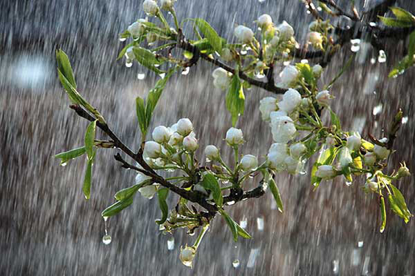 بارش باران در هرمزگان آغاز شد پیش بینی طغیان رودخانه ها و سیل