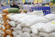 توزیع ۱۷ تُن برنج یارانه‌ای در مهاباد آغاز شد