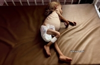 شام قدیح، کودک دو ساله فلسطینی (5)