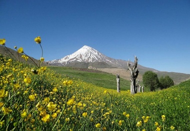 درخواست فدراسیون کوهنوردی برای شفاف سازی درباره کوه دماوند
