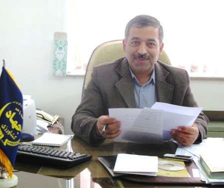 برداشت 74 درصد مزارع گندم و صدرصد جو و کلزا در گنبدکاووس