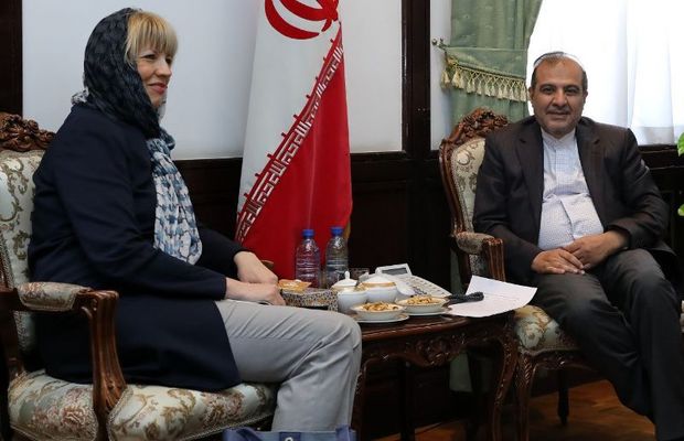 اشمید با دستیار ظریف در امور ویژه سیاسی دیدار کرد