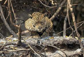 منتخب تصاویر امروز جهان- 24 شهریور