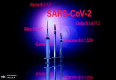 گردش «دلتا» در ایران طولانی شد/ «امیکرون» 7 میلیون واکسن‌نزده را تهدید می کند/ یک ویروس شناس: دوباره اشتباه نکنید، واکسن کرونا وارد کنید!