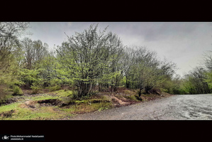 دریاچه آویدر نوشهر